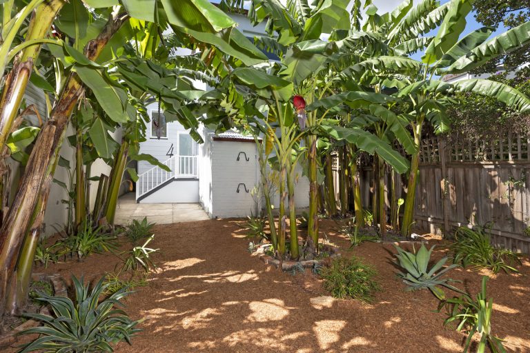 5/64 Annandale Street Annandale , NSW 2038 AUS