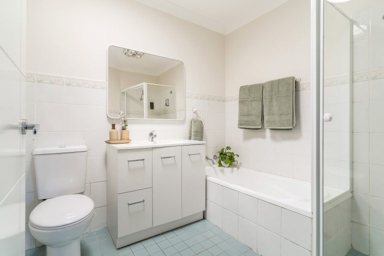 12 Coorilla Avenue Croydon Park , NSW 2133 AUS